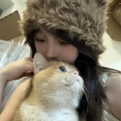 狮子彻夜未眠